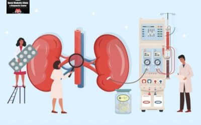 Kidney Function Test